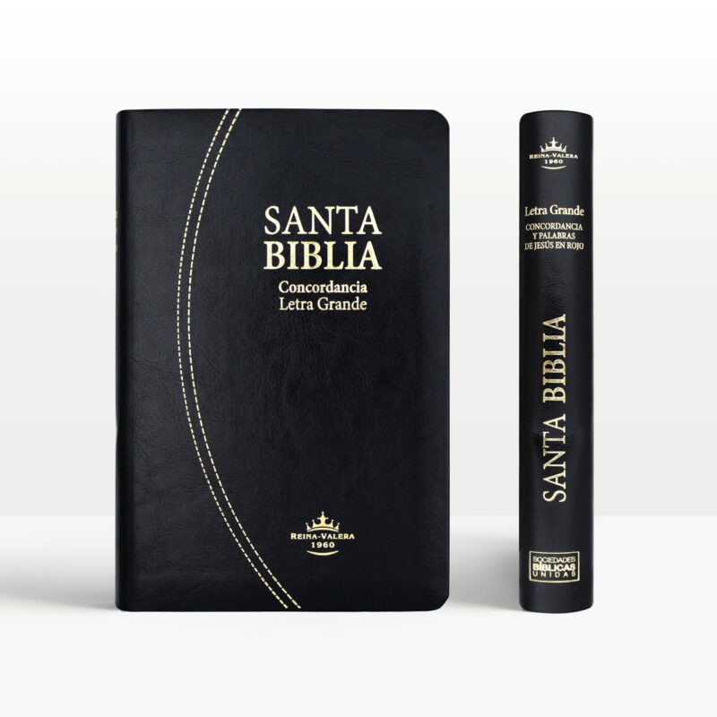 Biblia Letra Grande Símil Piel Casa de la Biblia Biblias y