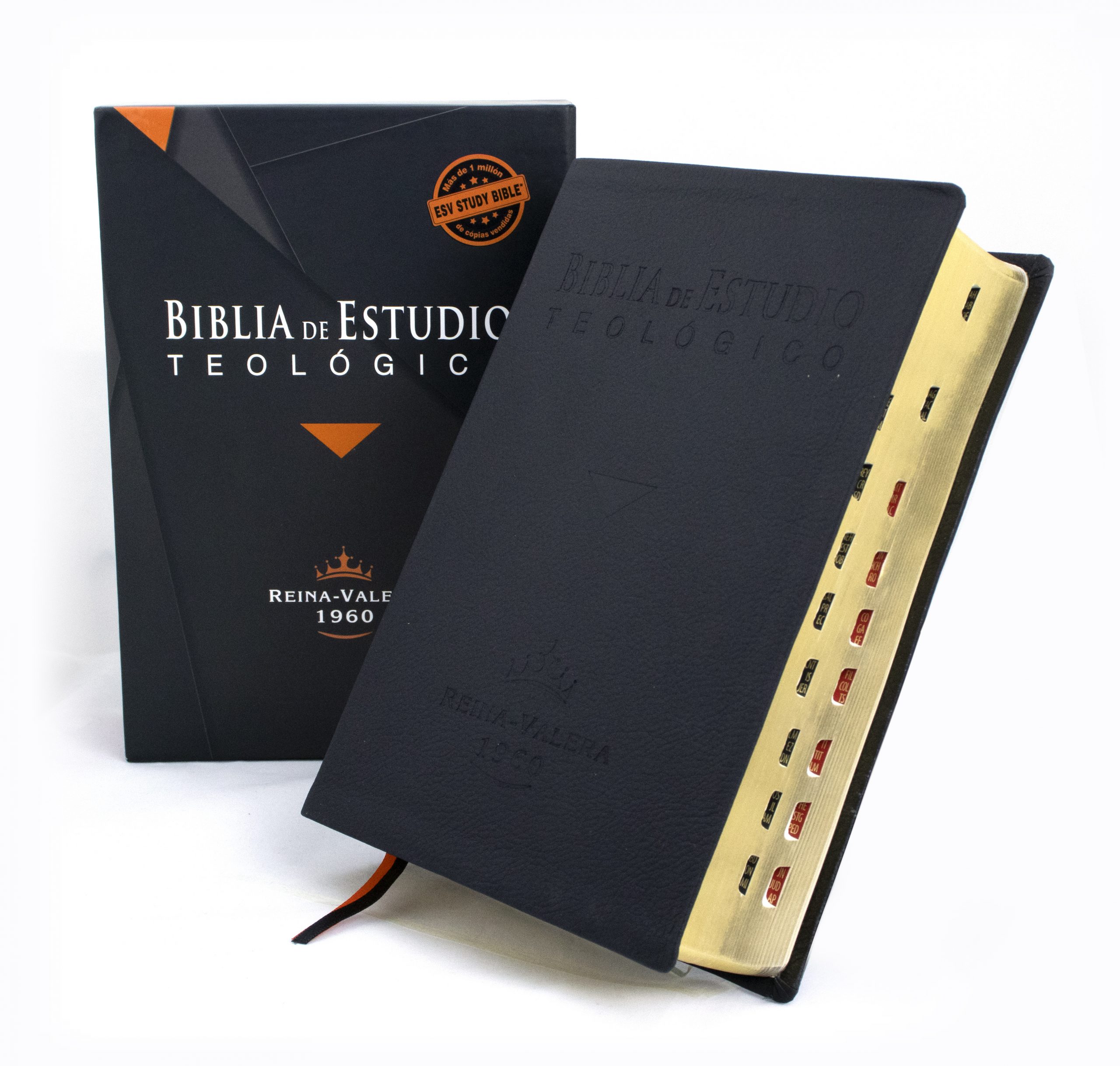 Biblia de Estudio Teológico Tapa Piel Casa de la biblia