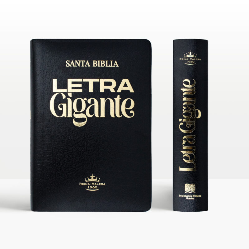 Biblia Rvr Letra Gigante Puntos Tapa Covertex Casa De La