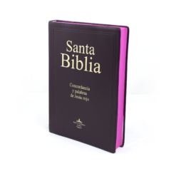 Biblia letra Gigante RVR1960 casa de la biblia
