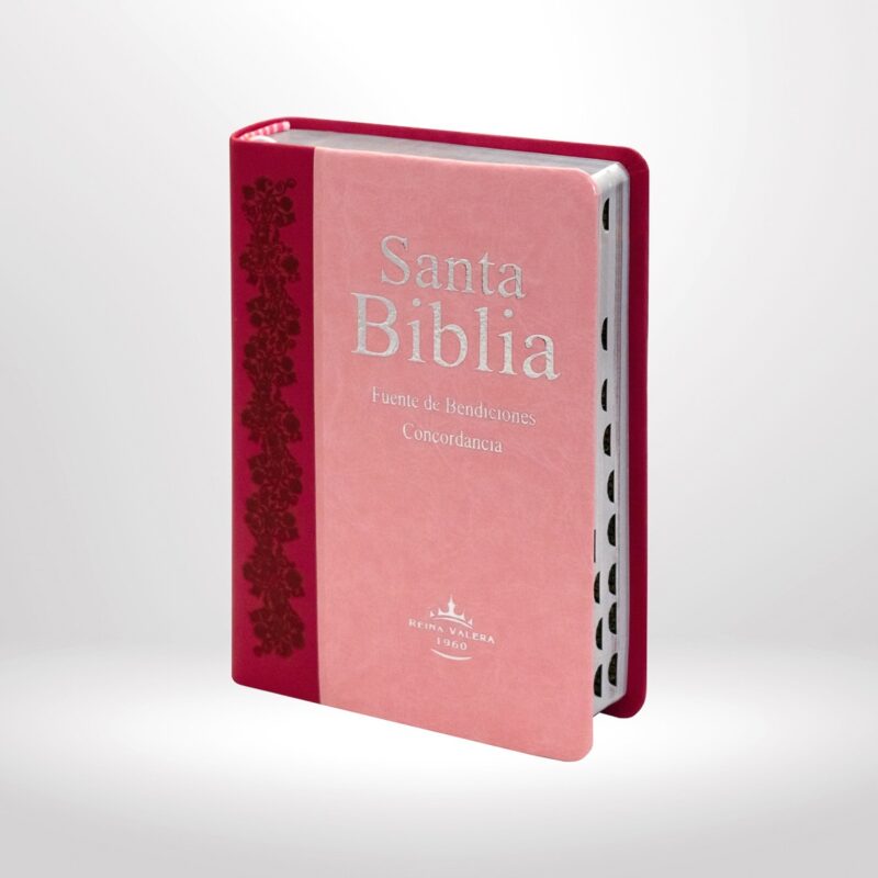 biblia-reina-valera-1960-biblia-fuente-de-bendici-n-de-promesas