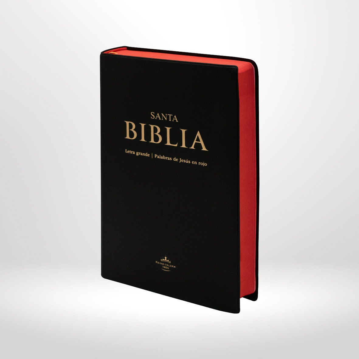 Biblia Grande, popular Biblia RVA1960, Reina Valera biblia, Biblia, Libro Cristiano