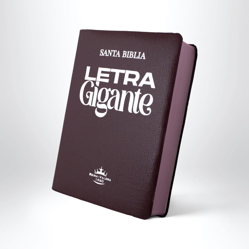 Biblia Letra Gigante 14 Puntos Coverflex Vino Filo Pintado - Casa De La ...