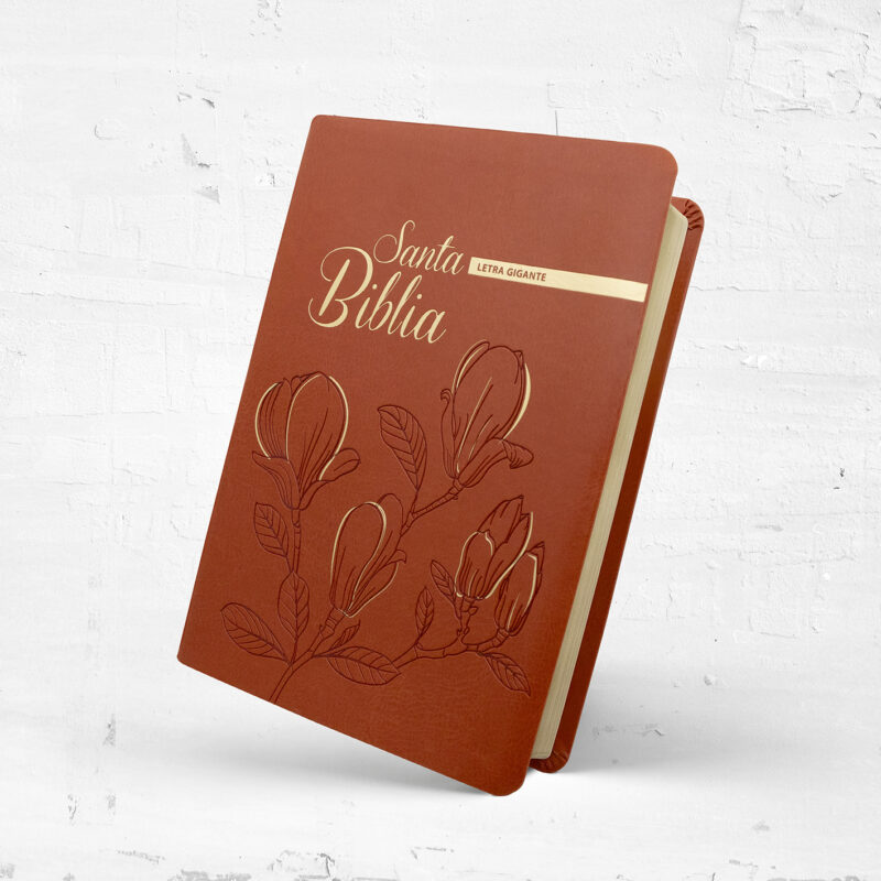 casa de la biblia - letra gigante