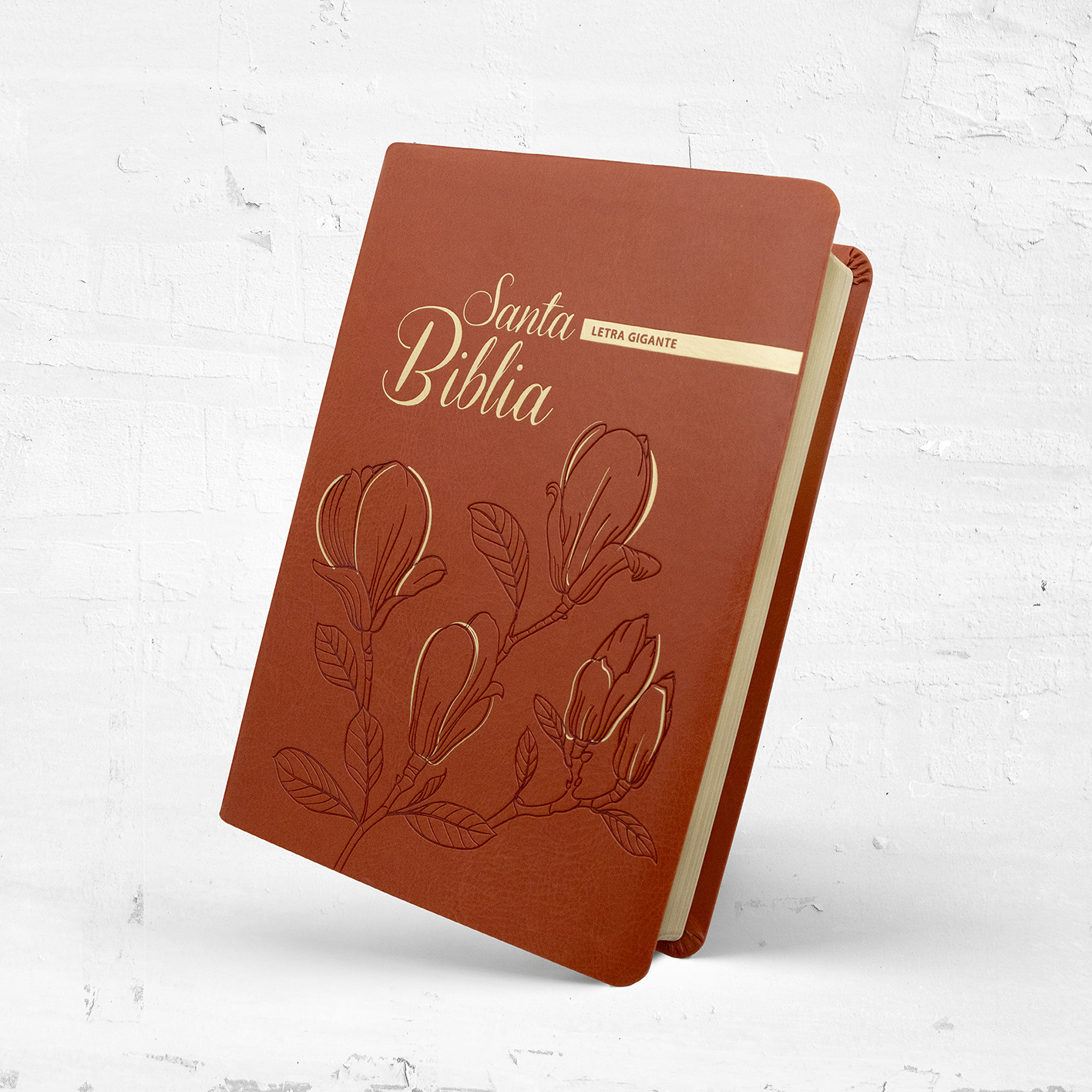 casa de la biblia - letra gigante