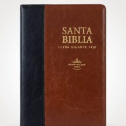Biblia Grande Letra Gigante 14 puntos